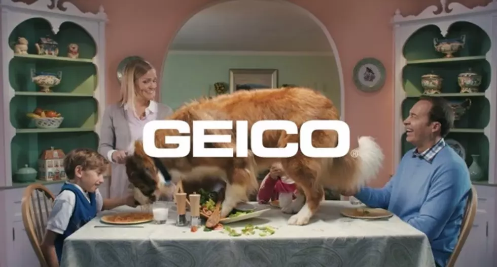 Geico’s ‘Unskippable’ Ads Go Viral [VIDEOS]