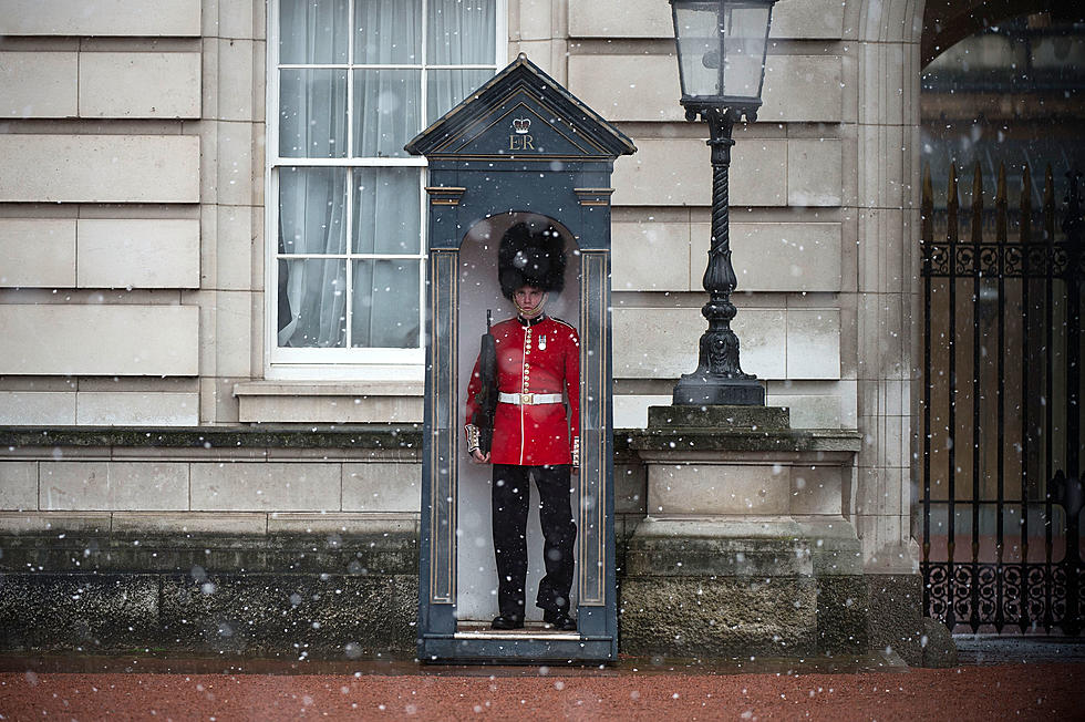 This Buckingham Palace Guard Fell In Front of Hundreds of Tourists [VIDEO]