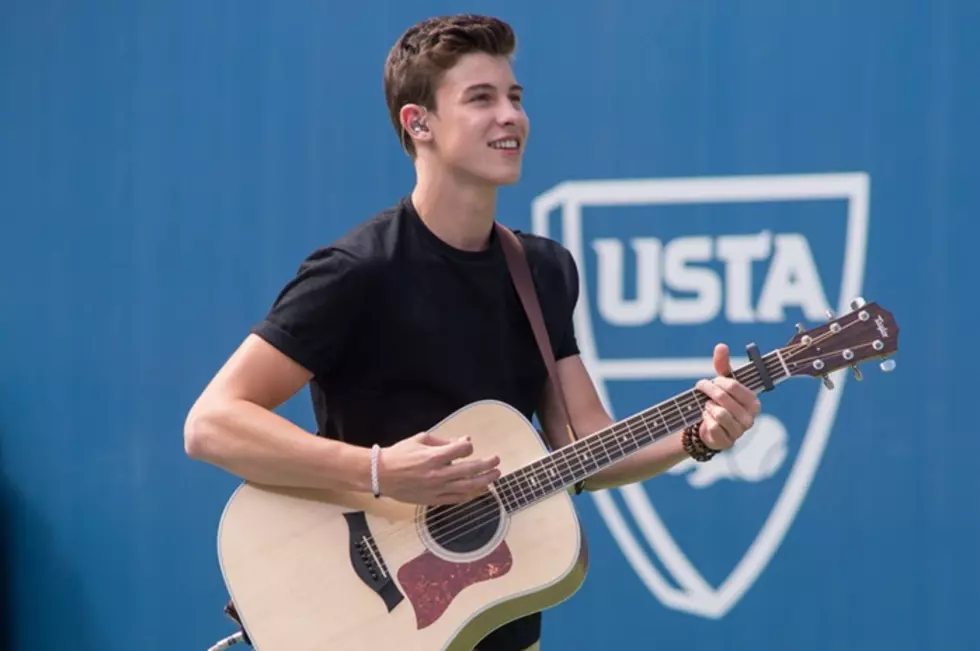 [DETAILS] How to Get in to See Shawn Mendes Inside the Park at Darien Lake
