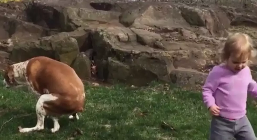 HILARIOUS: Little Girl Congratulates Her Dog After Pooping [VIDEO]