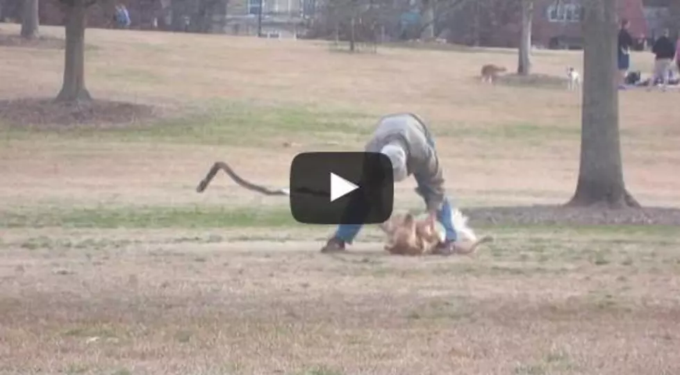 Man Gets Creative When His Park-Loving Dog Doesn’t Want to Go Home [VIDEO]