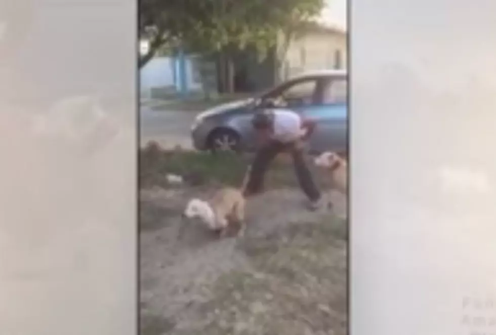 This Man Let His Dog Go + I Didn&#8217;t Expect to See This &#8212; Amazing! [VIDEO]
