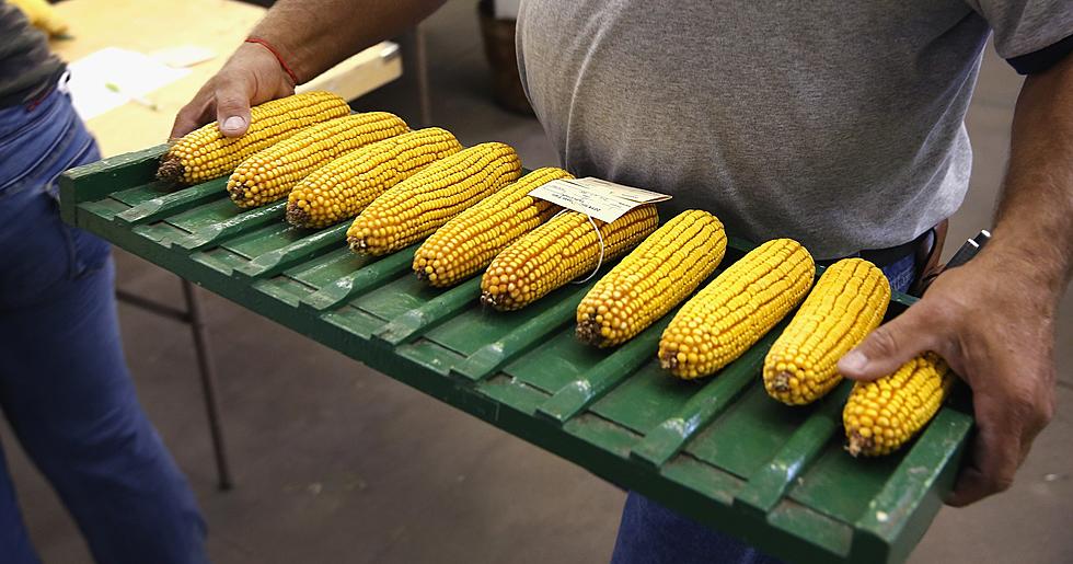 The Eden Corn Fest