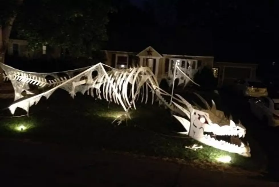 This Lawn in Syracuse is Covered by a Giant Dragon Skeleton [VIDEO]