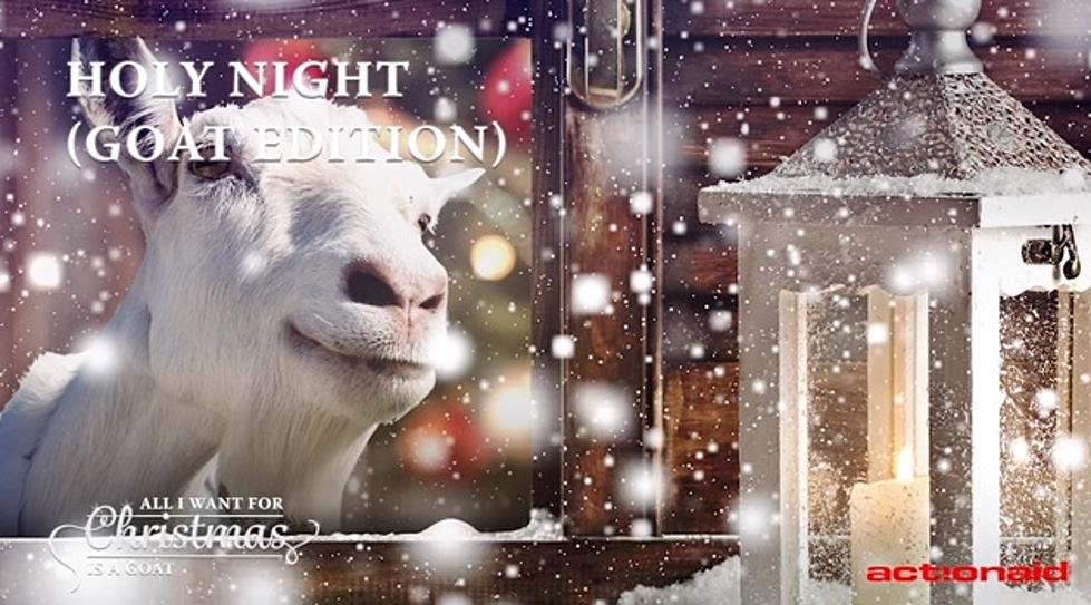 The Screaming Goats Are Back With &#8216;O Holy Night&#8217; [VIDEOS]