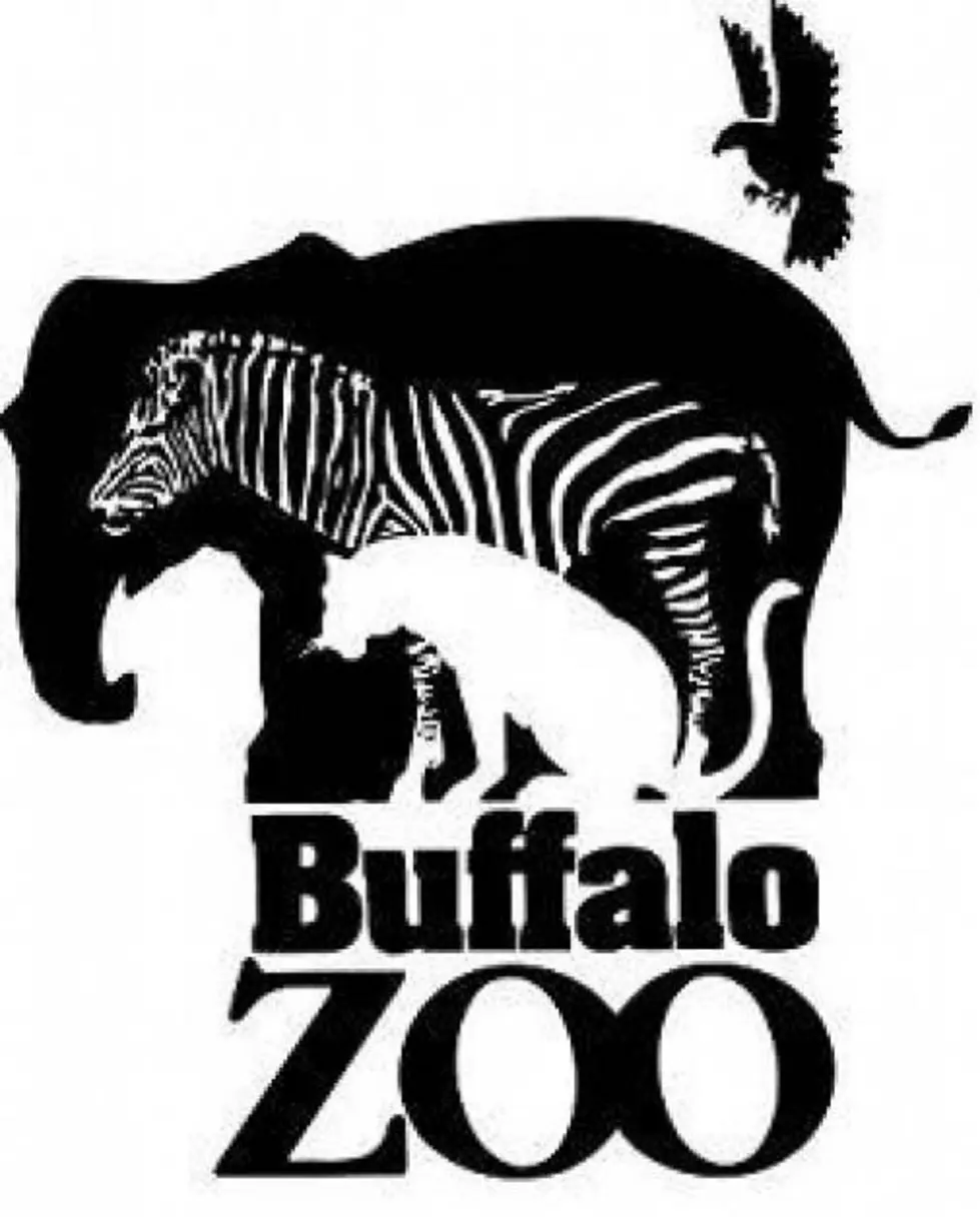 New Buffalo Zoo Event ‘Arctic White Out’ Coming In February