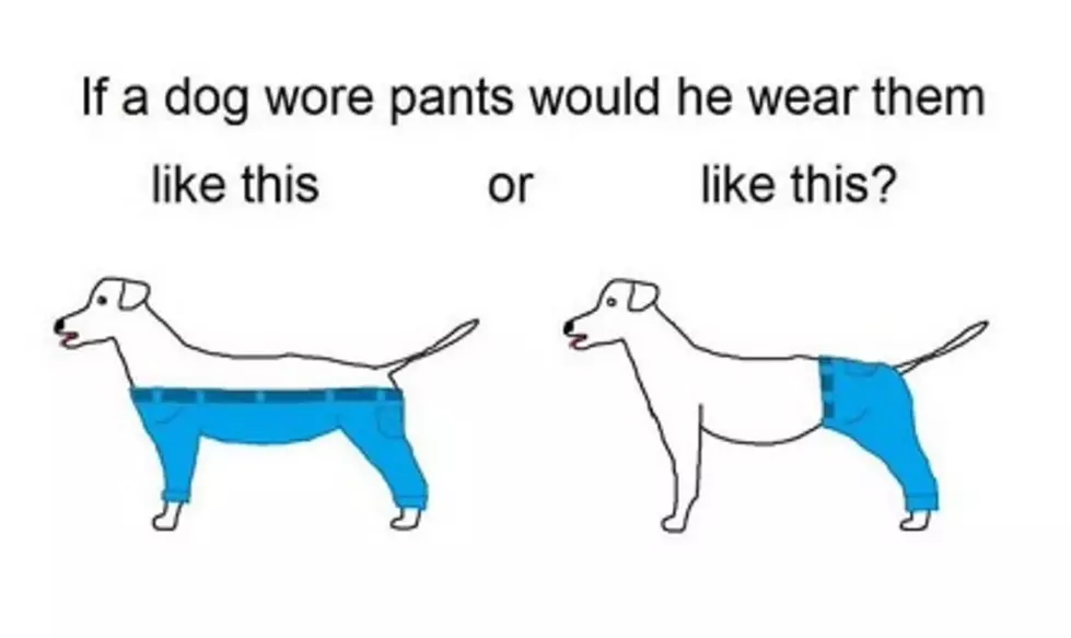 If A Dog Wore Pants&#8230; [VIDEO]