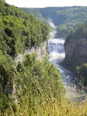 One Star Review for Letchworth State Park Picks on the Ridiculous!