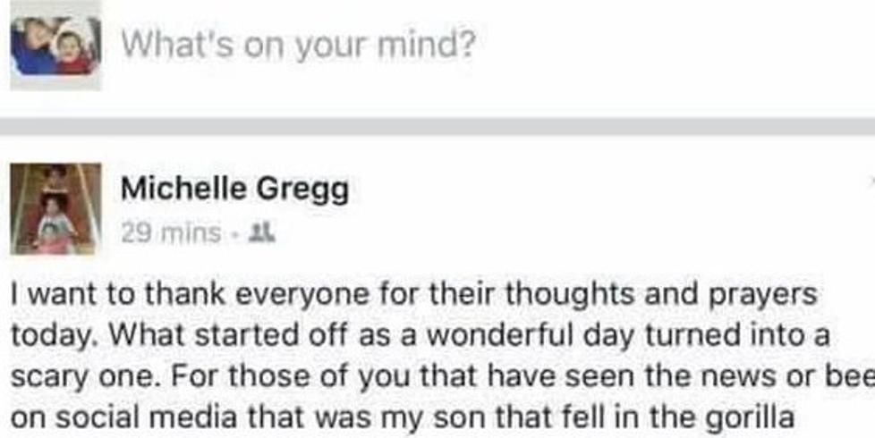 Mother of Boy That Fell in Gorilla Exhibit Speaks Out on Facebook