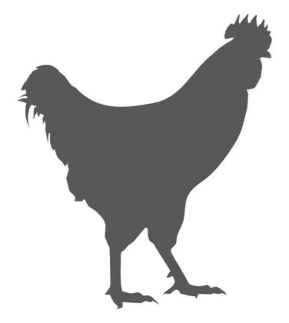 A Chicken. Wearing Pants. [VIDEO]