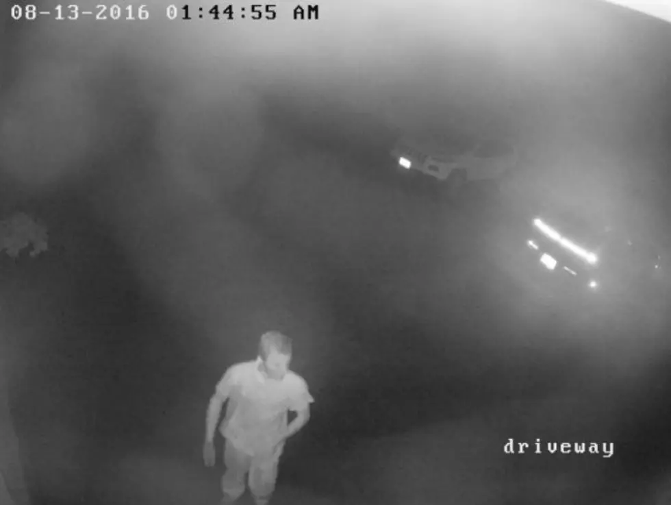 Do You Know This Guy Stealing Stuff From Cars in Clarence? [PICTURES]