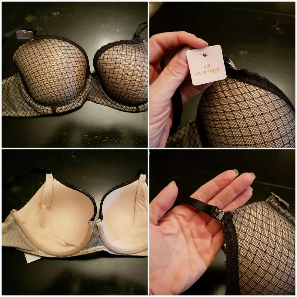 Laura&#8217;s Accidental Purchase – The Great Bra Controversy [PHOTO]