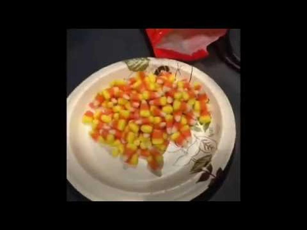 WHY IT'S CALLED CANDY CORN [VIDEO]