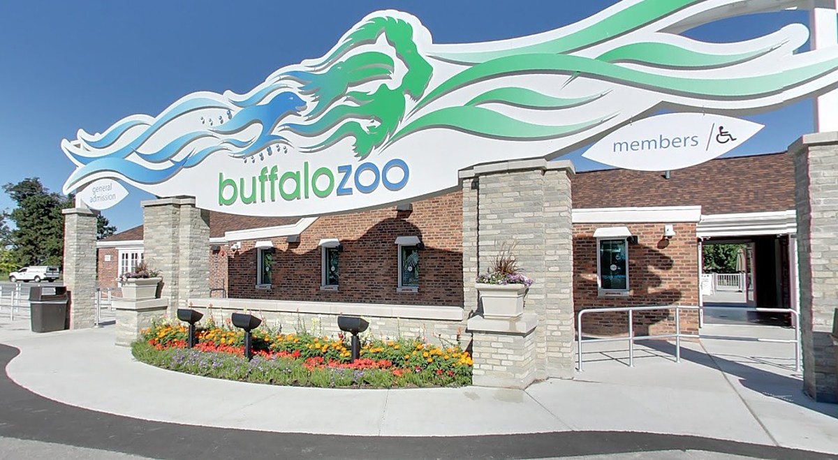 The Buffalo Zoo Has A Wild Playoff Wager For Jacksonville