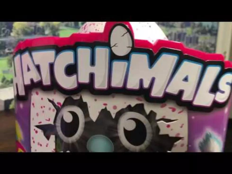 Hatchimal Omelet [VIDEO]