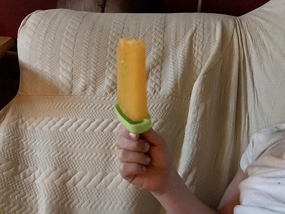 Parenting Trends of 2017 We Try Homemade Popsicles