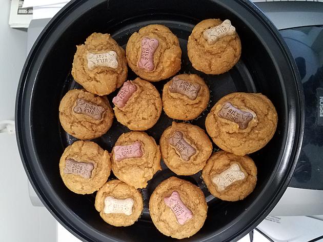 Laura Daniels&#8217; Recipe for Pup-Cakes (Dog-Friendly Cup Cakes)
