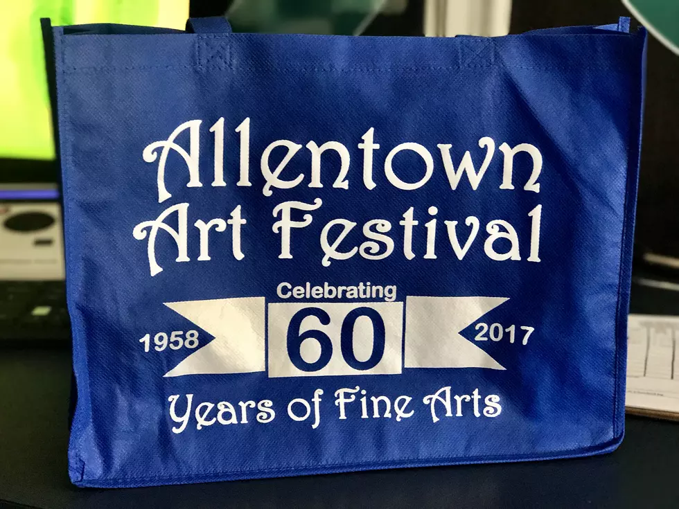 The 11 Best Things We Saw At The Allentown Art Festival