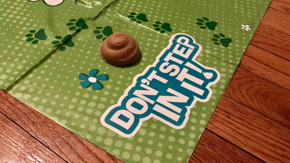 'Don't Step In It!' Game Review