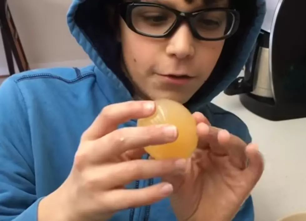 An Eggs-periment: See What Happens To The Egg!