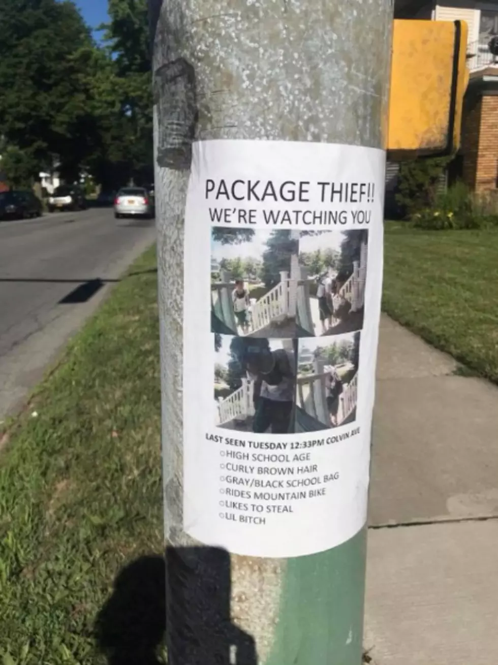 GuyCaught Stealing in North Buffalo--So Neighborhood Does This