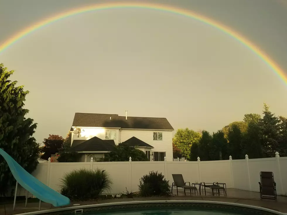 Rainbows Over Buffalo [PICS]