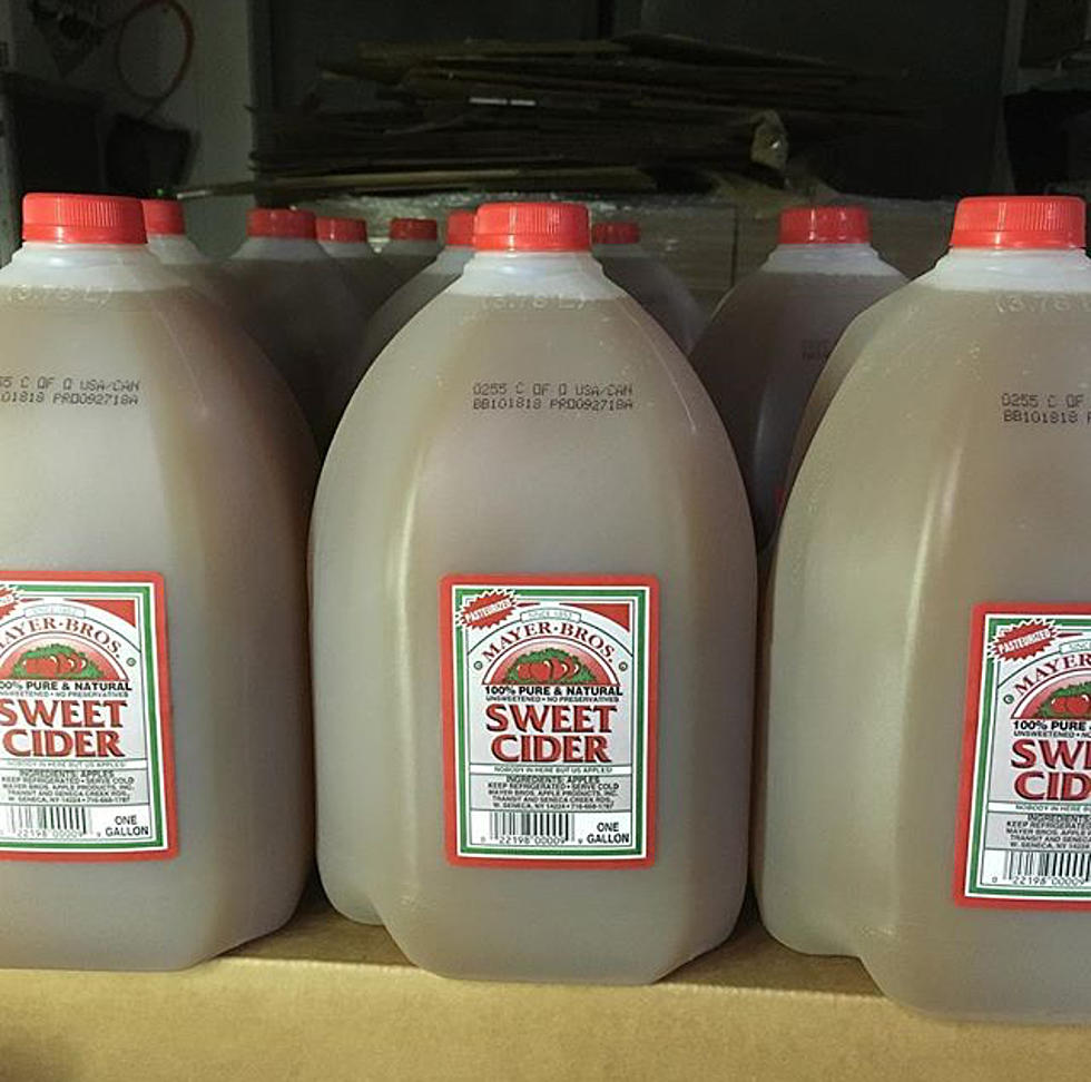 Take A Tour Of The Mayer Brother&#8217;s Cider Mill [VIDEO]