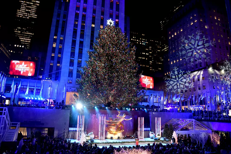 Rockefeller Center Selects The 2018 Christmas Tree