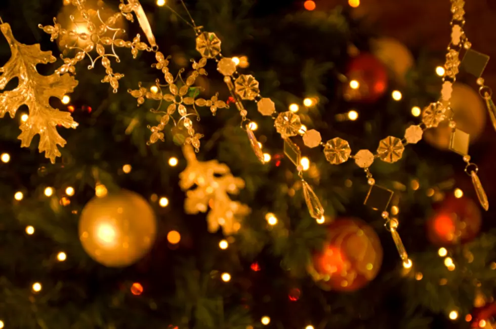 Festival Of Trees Open To The Public This December