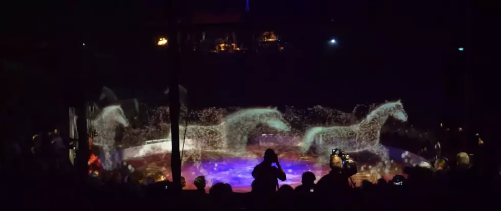 A Circus That Uses Holograms Instead Of Animals