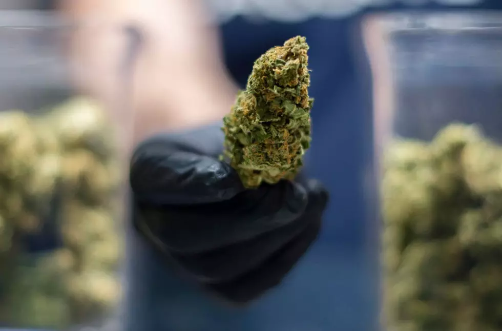 $400,000 Worth of Marijuana Seized at Buffalo Airport