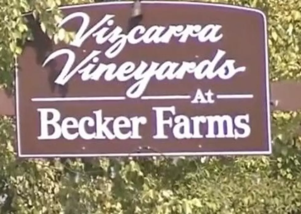 Becker Farms 'Haunted Forest' Debuts In Place Of Hayrides