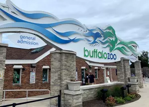 How To Get Free Tickets To The Buffalo Zoo