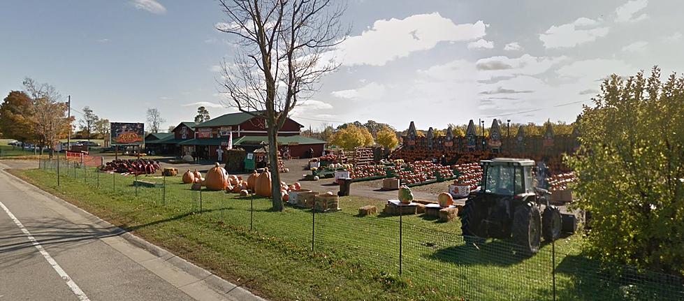 Here Are All The Activities at The Great Pumpkin Farm In Clarence This Fall
