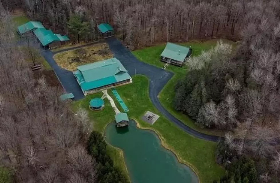 Massive Log Cabin Along With Land For Sale In Wyoming County