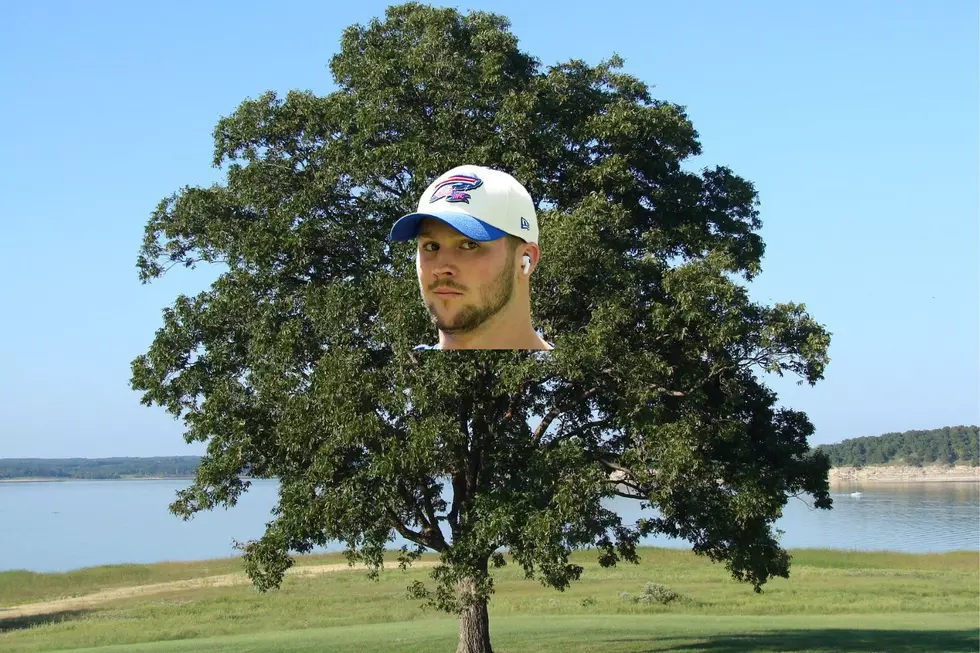 A Josh Allen Tree? Yep There Is One [PICTURE]