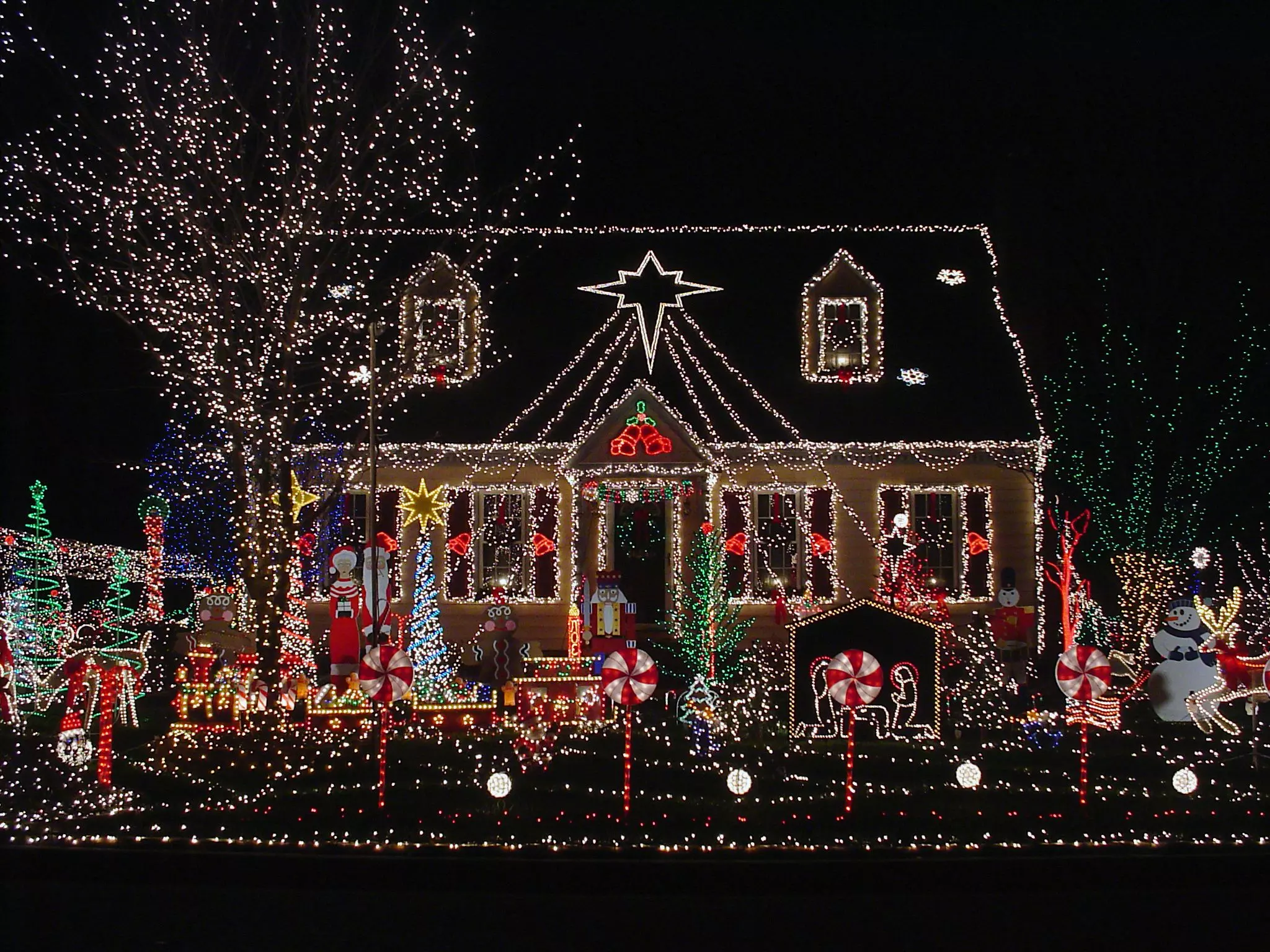 Western New York's Best Christmas Lights Installers