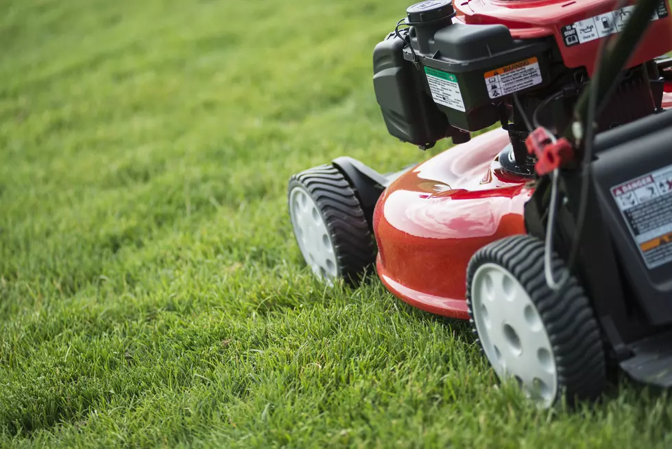 New York Lawnmowers To Be Quiet In May?