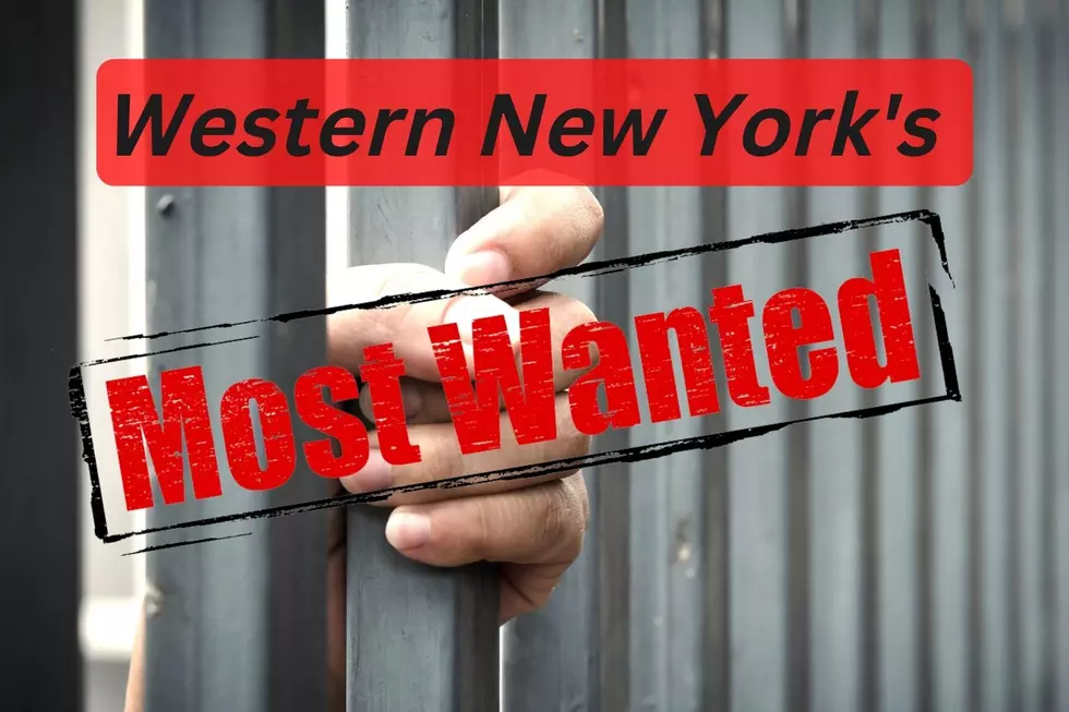 Western New York&#8217;s Most Wanted For December