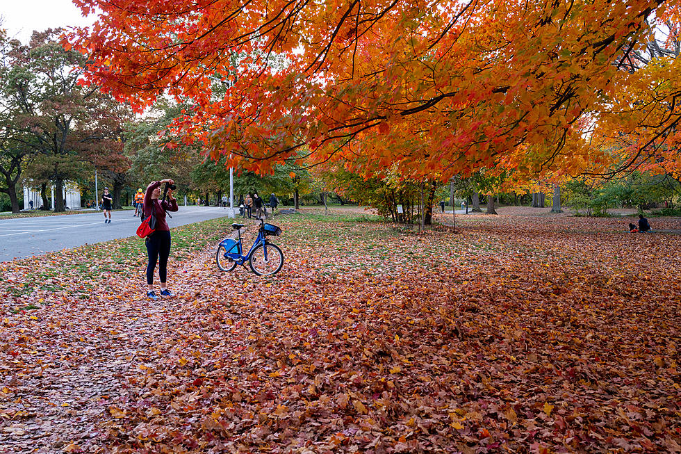 Top 5 Spots To See The Leaves Change Color In New York
