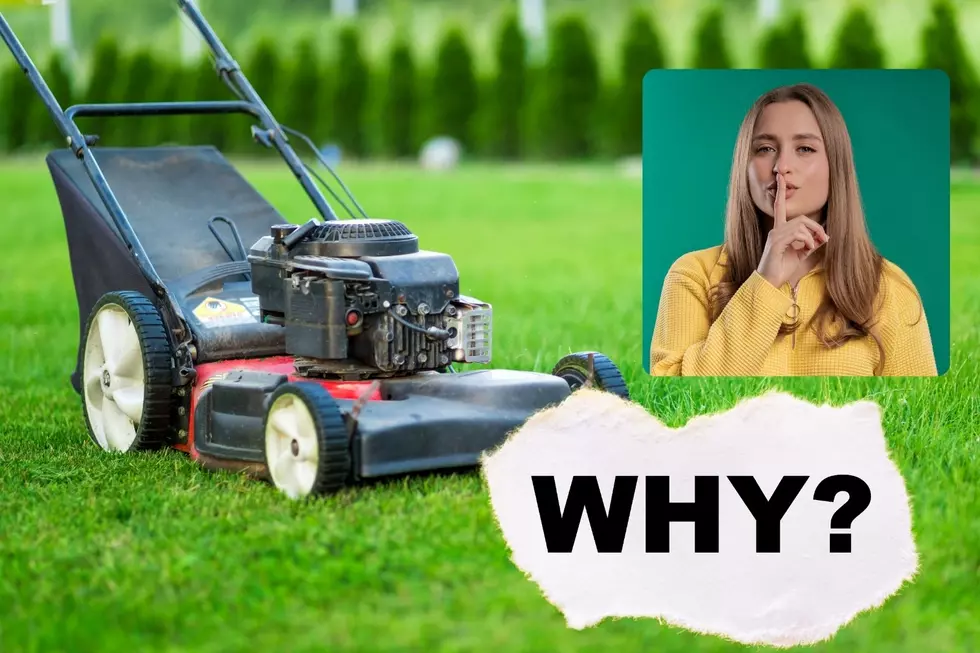Why Lawn Mowers Are Quiet In New York?