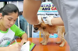 Free Pet Rabies Clinic This Weekend In Western New York