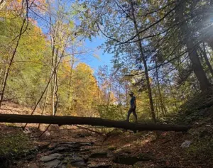 Fall Foliage Report For New York State October 22nd, 2026