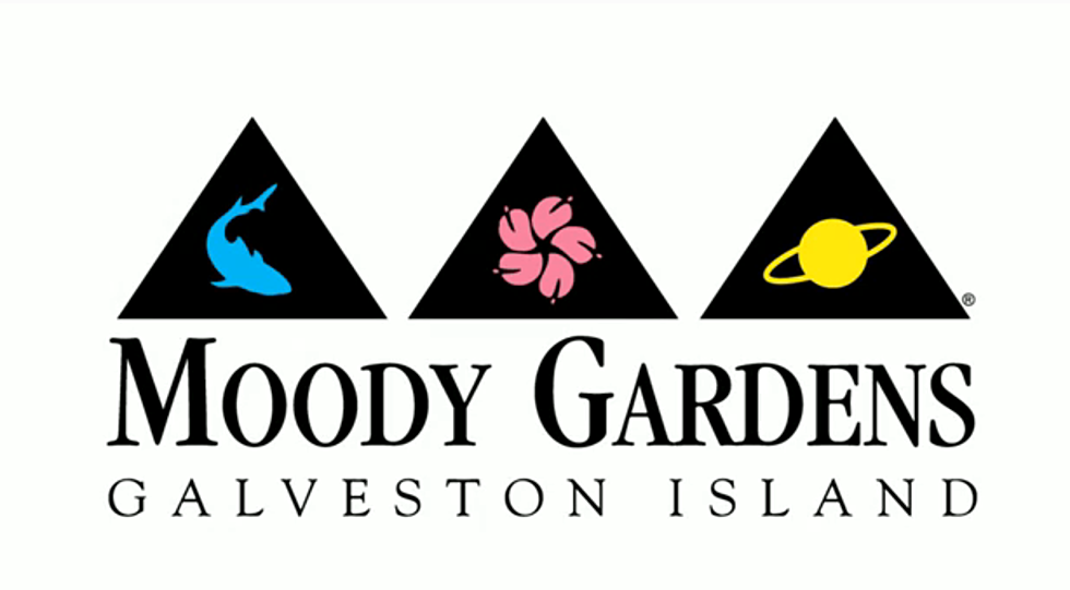 Moody Gardens On Galveston Island &#8211; Family Fun For Everyone  [VIDEO]