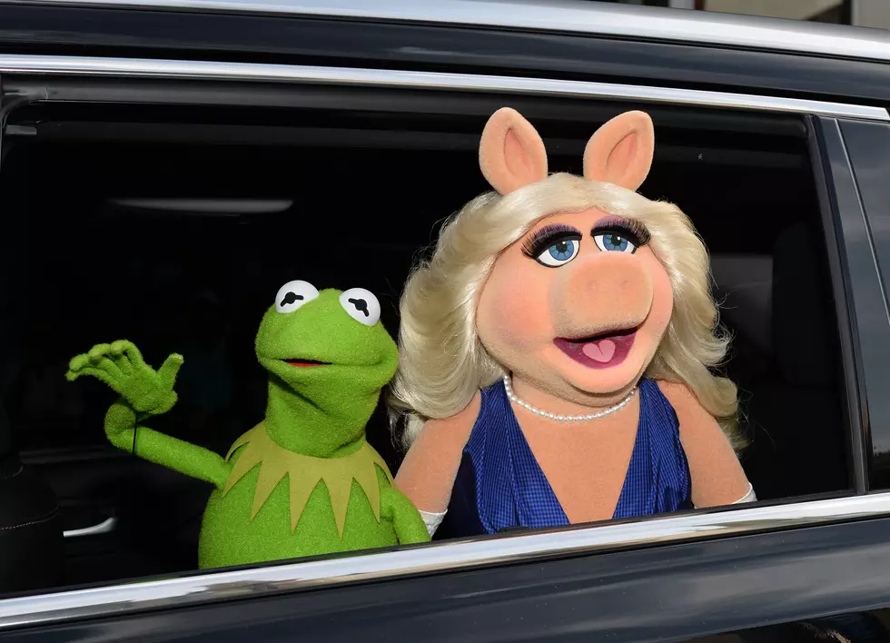 Kermit The Frog Gets Dissed By Unknown Wannabe Rapper [NSFW, VIDEO]