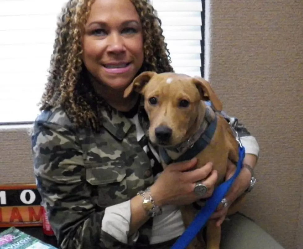 Gillis Is The 107 Jamz Dog Of The Week [VIDEO]