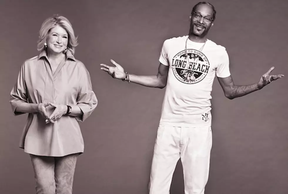 Snoop Dogg And Martha Stewart Team-Up For A New Show On VH1 – Tha Wire