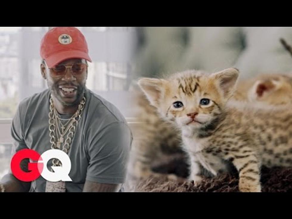 2 Chainz Plays with $165,000 Kittens in Latest “Most Expensivest S***”