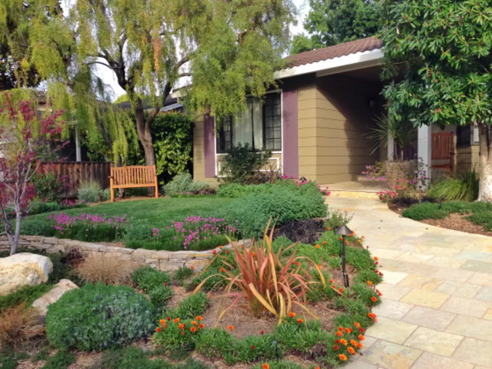 Landscape For Life : Learn How To Create And Maintain Low-Maintenance Gardens