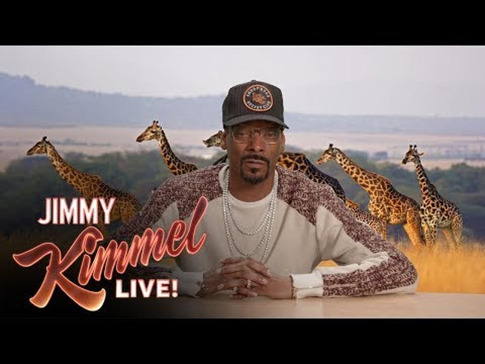 Snoop Dogg Narrates the Iguana vs. Snake Video